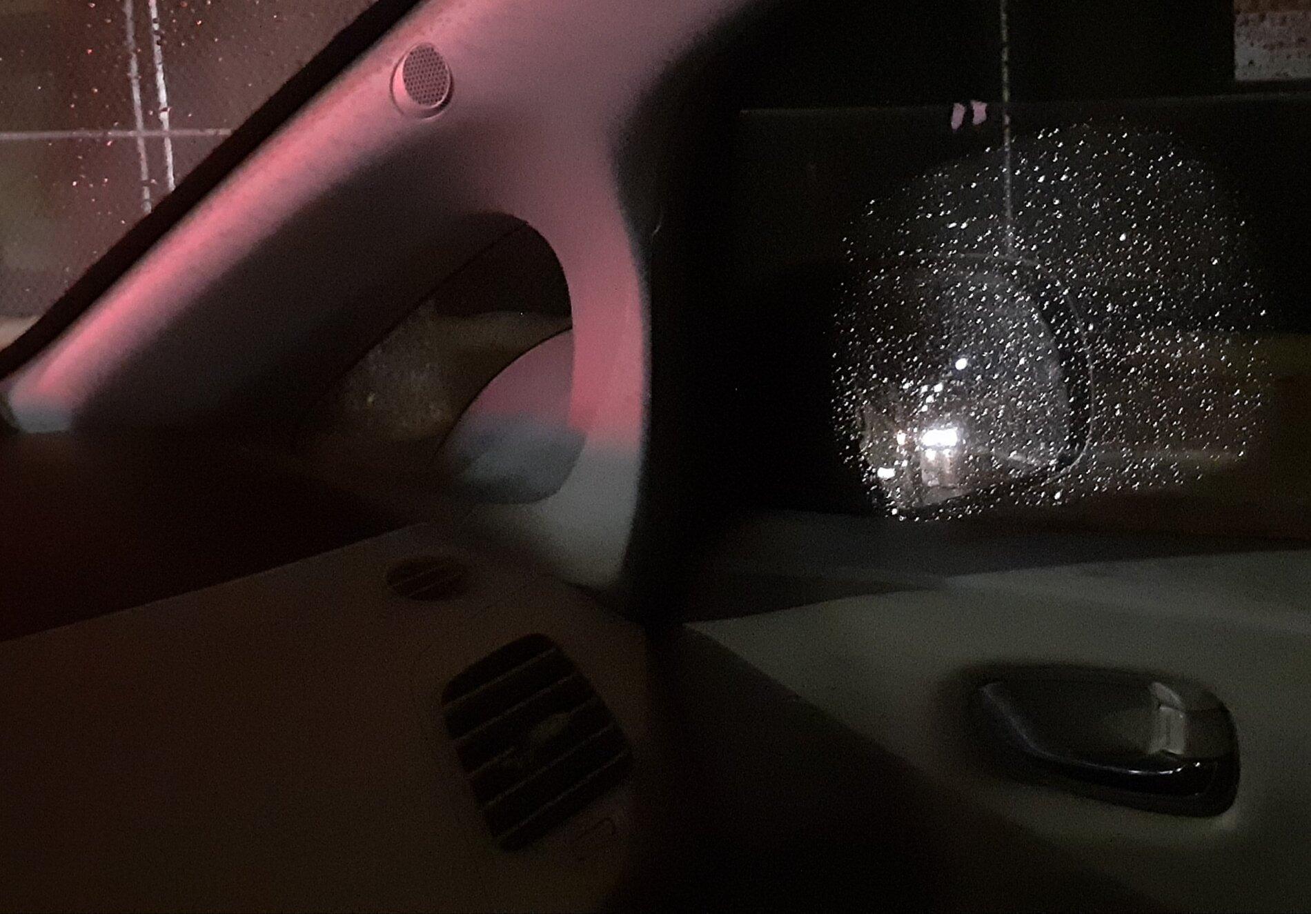 Tesla Model 2 camera side mirror on leaf 20210126_183813