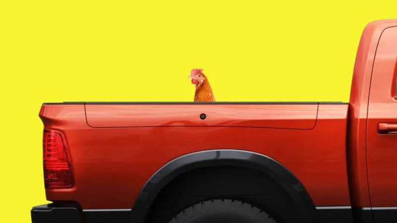 Tesla Model 2 Cybertruck pricing: blame the chickens 49dd4d80a73c44bf2db4f07f97633730