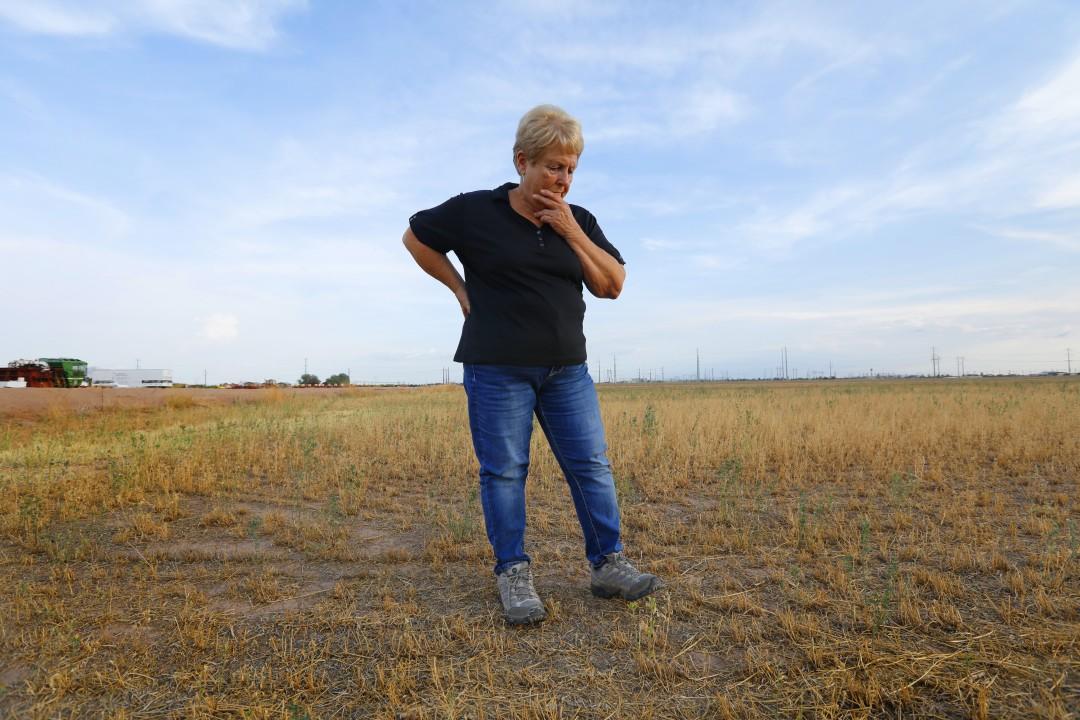 Tesla Model 2 Detroit Three, UAW in talks with White House to set EV sales goals photos-1staff-811734-na-drought-small-farms-04-cmc