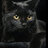 ElectricCat
